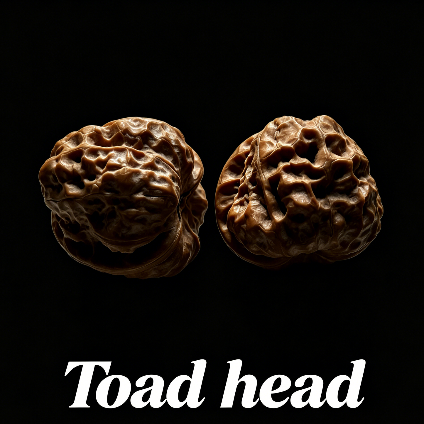 Toad Head Walnuts - Premium Hand-Picked Pair