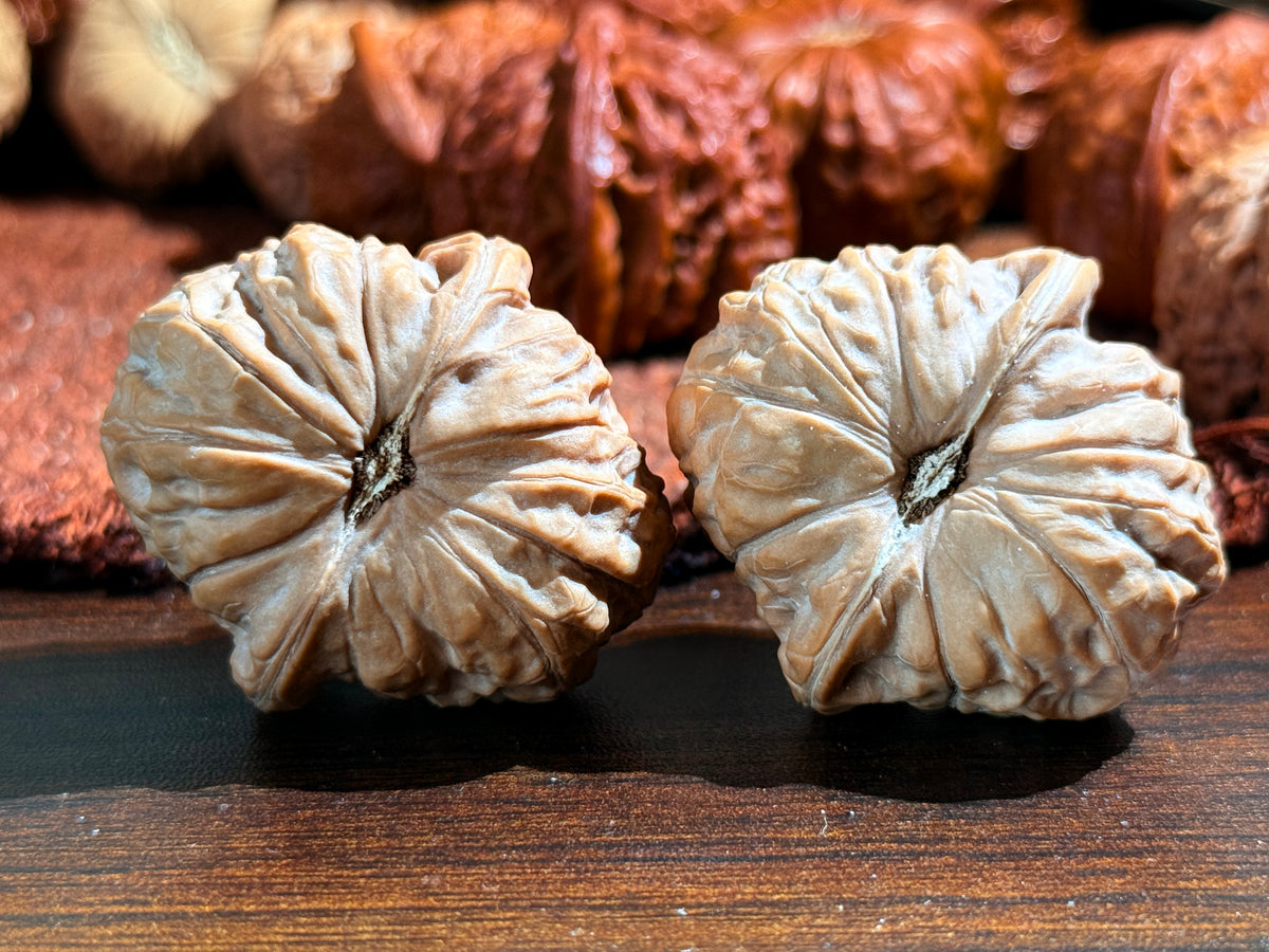 Pumpkin Walnut Pair | Classic Heritage Variety | Great Choice for Beginners | 38mm
