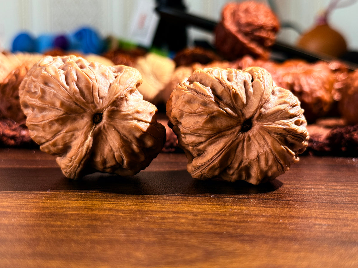 Rolling Stone Walnut Pair | Lesser-Known Variety | Great Choice for Beginners | 45mm