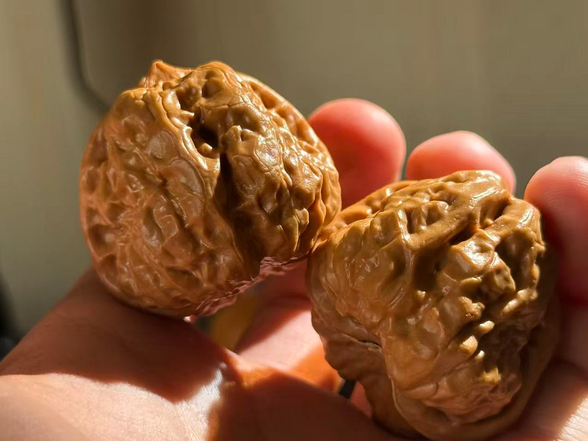 Toad Head Walnut Pair | Classic Heritage Variety | Great Choice for Beginners | 38mm