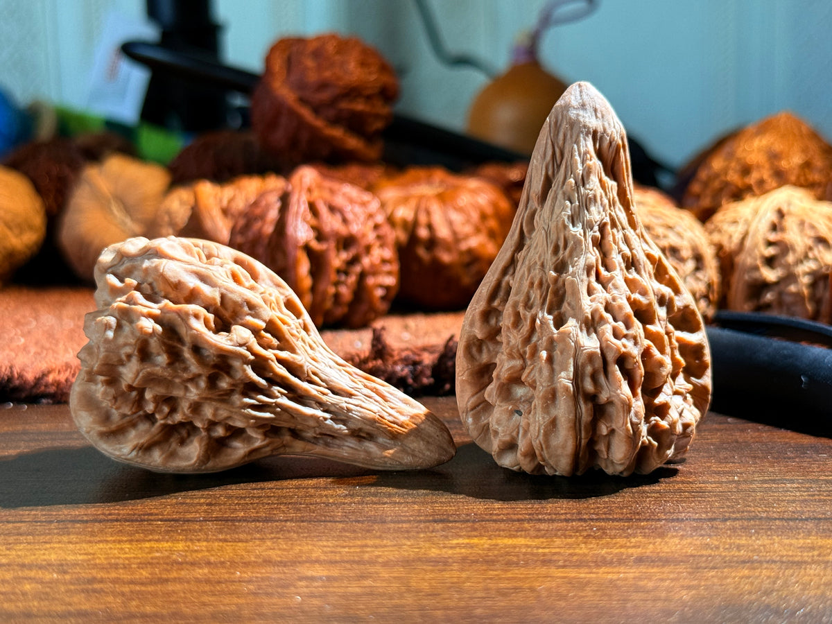 Vase Duckbill Walnut Pair | Classic Heritage Variety | Great Choice for Beginners | 58mm