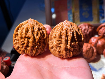 43mm S-class tigerhead walnuts