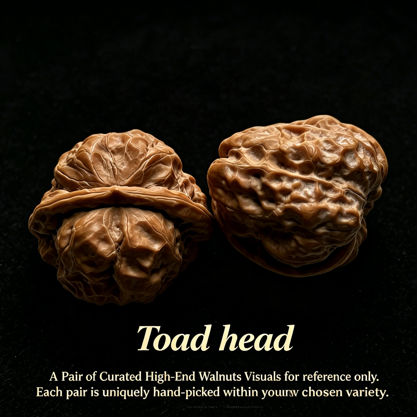 Toad Head Walnuts - Premium Hand-Picked Pair