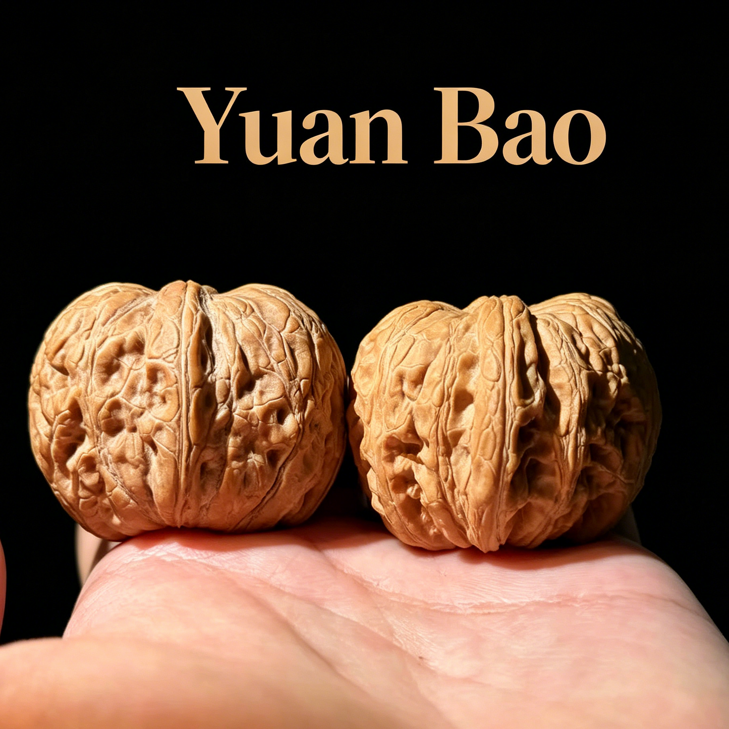 Yuan Bao Walnuts - Premium Hand-Picked Pair