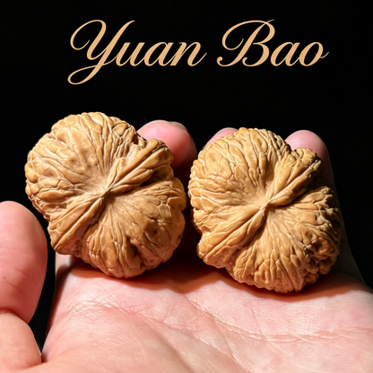 Yuan Bao Walnuts - Premium Hand-Picked Pair