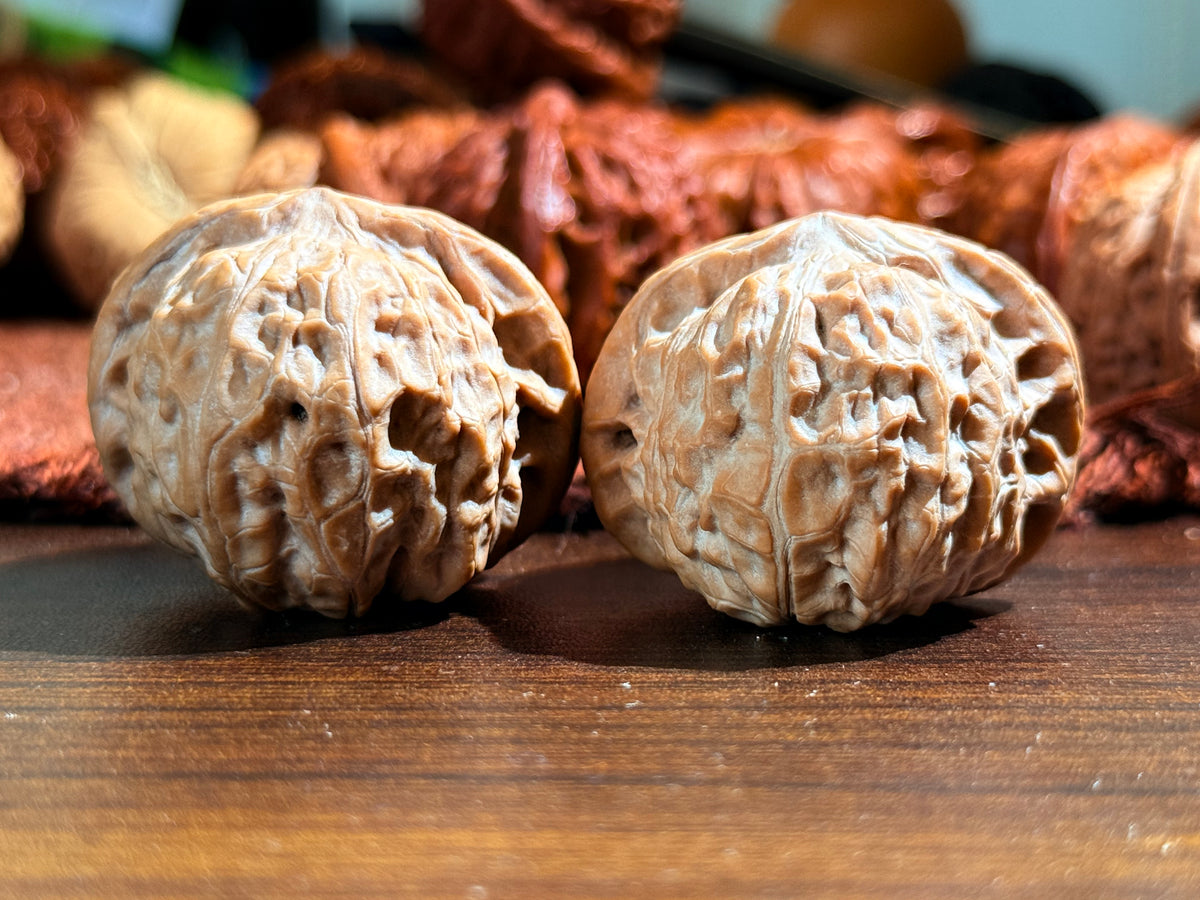 Pumpkin Walnut Pair | Classic Heritage Variety | Great Choice for Beginners | 38mm
