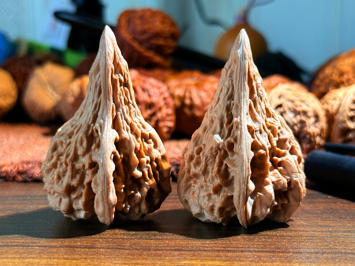 Vase Duckbill Walnut Pair | Classic Heritage Variety | Great Choice for Beginners | 58mm